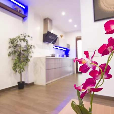 Apartment Rentalsevilla Looks Pretty And Modern